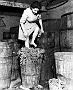 La vendemmia, 1957